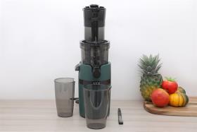 Máy ép chậm AVA SJ-009